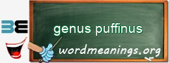 WordMeaning blackboard for genus puffinus